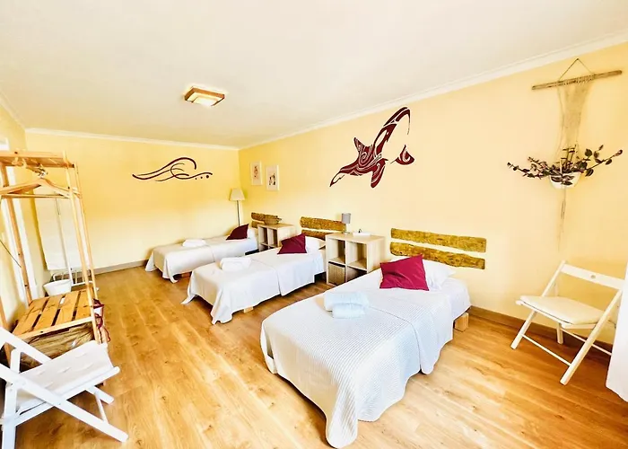 Affittacamere Ocean Tree Ferrel