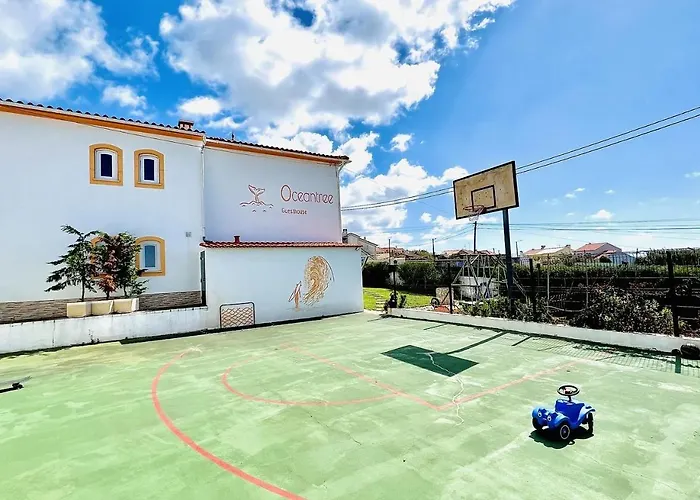 Ocean Tree Ferrel Serra d'El-Rei